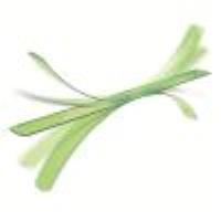 ELASTIKA