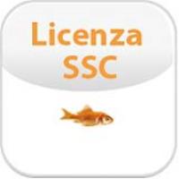 SSC